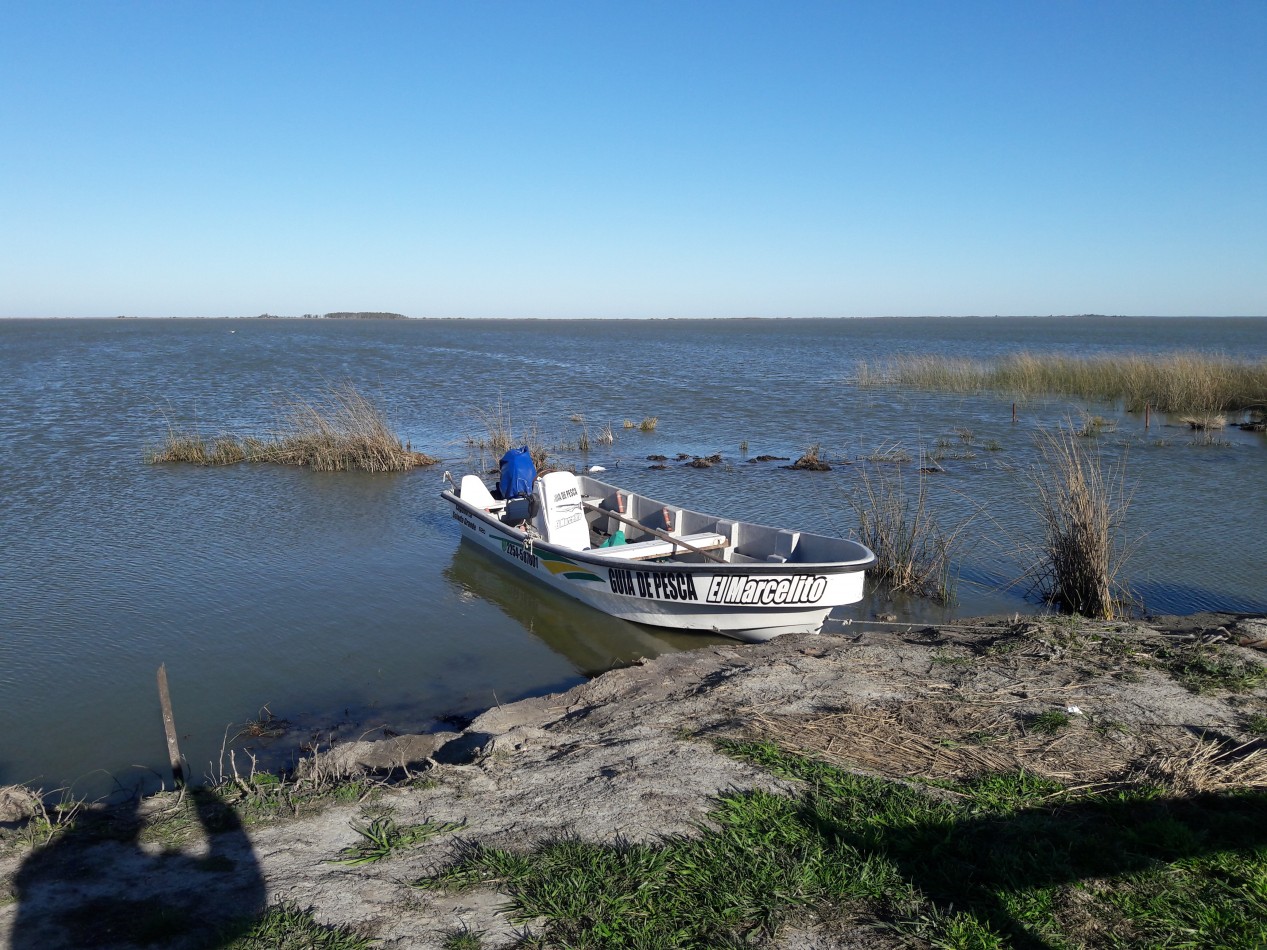 Campo 210 Hectareas General Lavalle