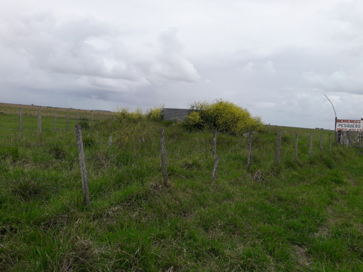 Campo 210 Hectareas General Lavalle