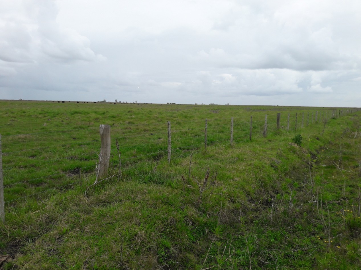 Campo 210 Hectareas General Lavalle