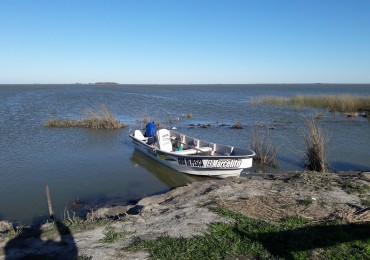 Campo 210 Hectareas General Lavalle